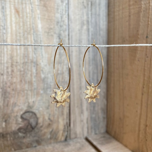 Boucles d'oreilles 